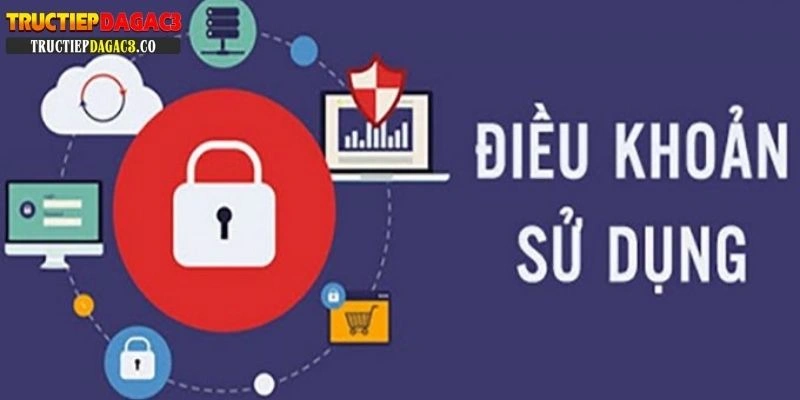 Điều khoản và điều kiện