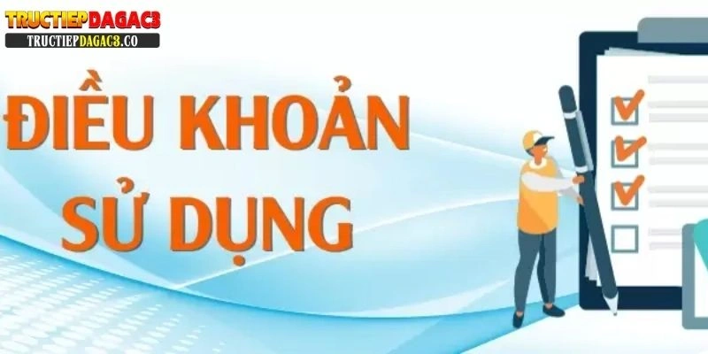 Điều khoản và điều kiện