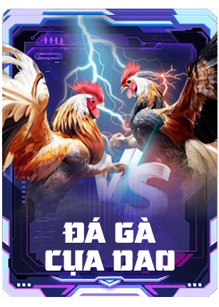 đá gà cựa dao