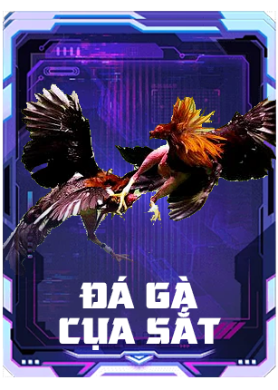 đá gà cựa sắt