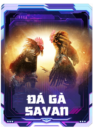 đá gà savan